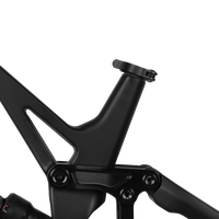 Vélo de montagne Dengfu M031, cadre en fibre de carbone, roues de 29 pouces, frein à disque, 7,04 kg, léger et durable