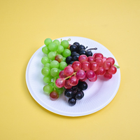 Ensemble d'assiettes jetables écologiques en bagasse de canne à sucre pour fêtes et dîners