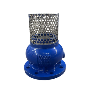 Vanne à pied robuste à <span class=keywords><strong>prix</strong></span> de gros avec filtre intégré, extrémité à bride, revêtement anti-corrosion, pour pompes - Product Image 4