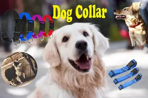 Collar de perro liso de poliéster/nailon de alta calidad - Product Image 2