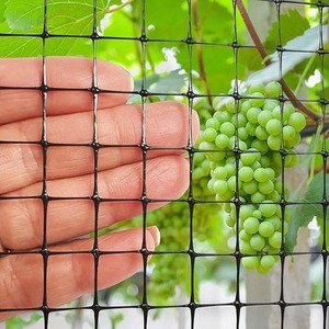 Nhà Máy Giá Bird lưới cho vườn - Product Image 1