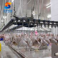 ZB volaille poulet boucherie plumeuse poitrine désossage aplatissement Machine abattage Machine traitement entièrement automatique