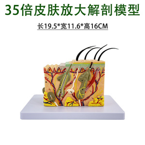35 - Product Image 4