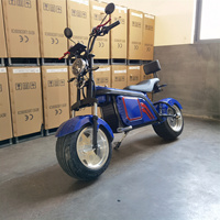Scooter électrique Citycoco à grande roue, 2 places, avec certificat CE, directement de l'usine
