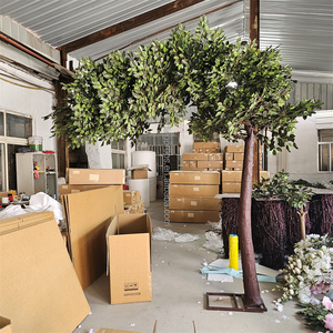 Usine personnalisé réaliste grand <span class=keywords><strong>olivier</strong></span> <span class=keywords><strong>d</strong></span>écoratif artificiel grand <span class=keywords><strong>olivier</strong></span> arbre en fibre de verre - Product Image 2