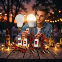 Lampe LED 12V DC blanc pur avec cordon à clip de 2 m, température de couleur 3000K-6500K, durée de vie de 8000 heures, IRC 80, pour usage en jardin