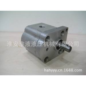 Bomba de Engranajes Bidireccional CBS Modelo E304/306/308/310/314/316/320/325-CLP Nueva Condición - Product Image 1