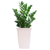 Pot Tanaman Modern Indoor/Outdoor Putih Persegi Runcing Ringan Ramah Lingkungan Grosir |   Pot Bunga Plastik Tinggi untuk Taman