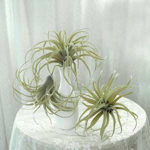 <span class=keywords><strong>Pianta</strong></span> Aerea Artificiale Tillandsia Xerographica Morbida e Realistica con Foglie Riccioline per Paesaggistica Commerciale Tropicale a Parete - Product Image 6