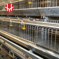 Cage à poulets automatique de type A à 3 niveaux avec alimentation, abreuvement, collecte des œufs, courroie à fumier, abreuvoir à tétine, galvanisée à chaud