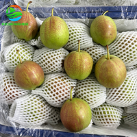 Poire fraîche Xinli n°7, origine Hebei, poire de qualité supérieure, goût sucré, juteux et croquant, panier d'exportation de 9 kg pour le marché égyptien, tunisien et nord-africain