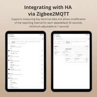 Moniteur d'énergie intelligent monophasé Zemismart Standard Zigbee 3.0, compteur d'énergie électrique en temps réel, compatible avec Home Assistant