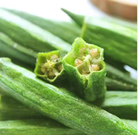 Okra Liofilizada Entera Salada Crujiente, Snacks Secos con Ingredientes Saludables, para Repostería, Empaque a Granel, Liofilizado por Congelación, ISO, Listo para Comer