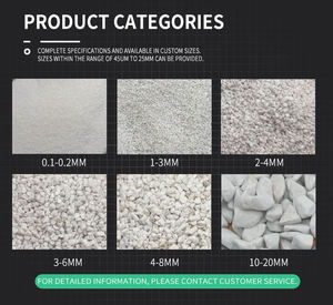 Perlite agricole de qualité industrielle 1-3 mm, perlite expansée pour la germination des semis et le développement des racines en serre - Product Image 2