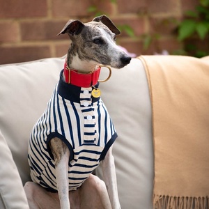 Qiqu Pet Shop Dog Summer <strong>Clothing</strong> Clothes Stripe <strong>Popper</strong> up Tee t Shirt Vest Dress for Whippets Italian Greyhound Sighthound - Product Image 1