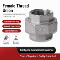 Raccord de tuyauterie haute pression en acier inoxydable 304, filetage double femelle BSPP BSPT de 1/2 à 4 pouces (DN15-DN100) avec joint PTFE