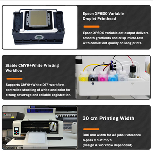 XP600 Head 30CM DTF A3 <b>Printer</b> Automatic Digital Tshirt Printing Machine DTF - Product Image 2