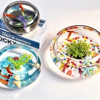 Mini-bol en verre de haute qualité pour aquarium, décoration hydroponique, vase pour plantes, ornement de bureau pour Betta et tortue