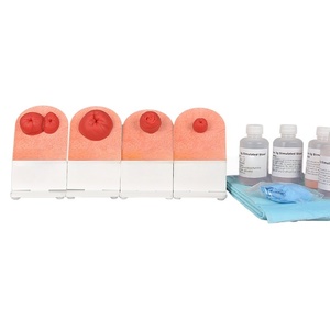 Modelo de Ostomía Fecal de Simulación de Mesa, Modelo de Cuidado de Ostomía para Entrenamiento de Enfermeras - Product Image 4