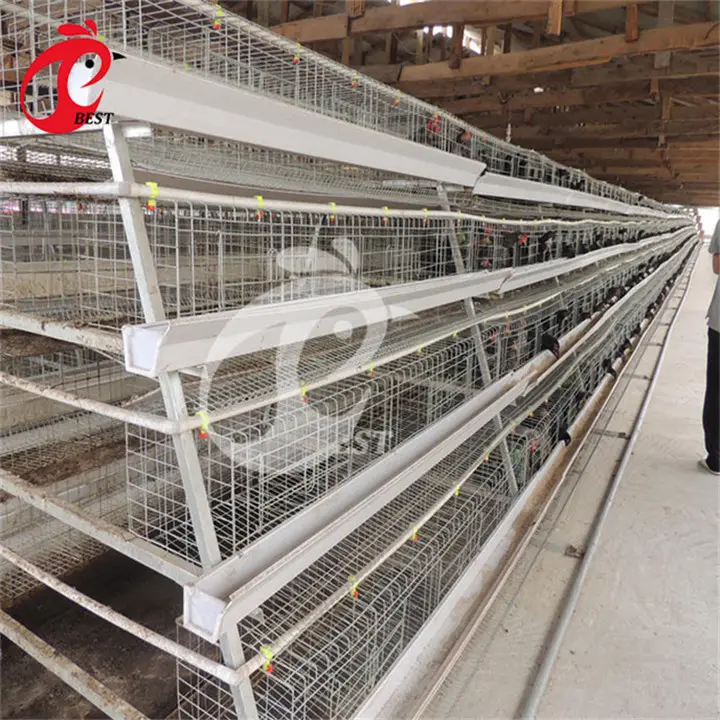 Factory top selling chicken cage poultry chicken cage for sale