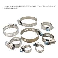Kit de colliers de serrage à vis sans fin de type américain avec tailles assorties pour l'automobile, la plomberie et l'entretien