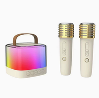 Cadeau d'entreprise promotionnel, portable, solaire, alimenté par DC 1, pour haut-parleur V2.0, autonomie de la batterie de 15 à 20 heures, LED RVB, support de téléphone, radio FM