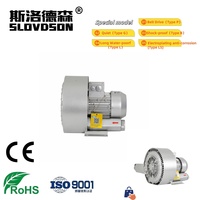 Souffleur vortex électrique triphasé à entraînement direct haute pression avec protection contre les surcharges, personnalisable OEM, certifié CE pour utilisation mondiale