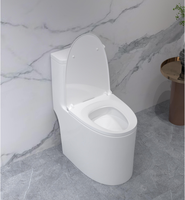 WC mural en céramique émaillée pour salle de bain, cuvette en céramique vitreuse haute densité, chasse d'eau à débit élevé, économie d'eau