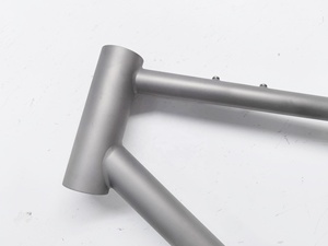 Off Road khung xe đạp Titan hoàn toàn định tuyến nội bộ chấp nhận tùy chỉnh cho phanh đĩa phẳng cho UDH - Product Image 6