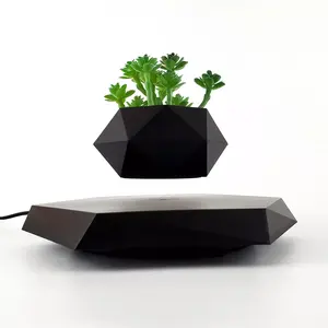 2023 Rotating Plant Hot Sell Magnetic Floating Levitation Floating Plant for Decoration