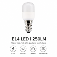 Ampoule LED E14 résidentielle 2835 à 5 LED, 2,5W, 250LM, Ra>80, CRI>80, pilote IC sans scintillement, certifiée CE/FCC, 15000H, garantie 2 ans, AC220-240V