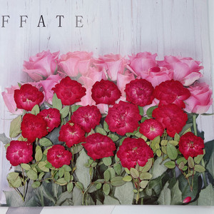 Rosa con <span class=keywords><strong>Brunch</strong></span>-Venta caliente Artesanía de resina usada Flores naturales reales secas y prensadas - Product Image 3