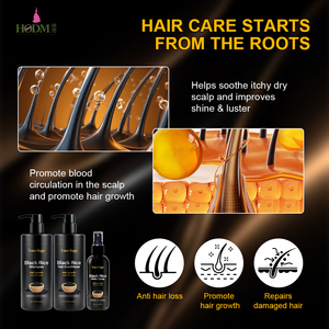 Biểu Tượng Tùy Chỉnh Silicone & Sulphate-Miễn Phí Gạo Đen Chăm Sóc Tóc Thiết Lập Thúc Đẩy Tăng Trưởng Revitalizes Tỏa Sáng Chống Rụng Tóc Điều Trị - Product Image 5