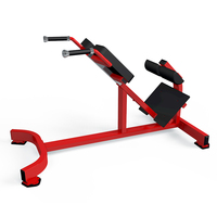 Appareil de musculation pour l'extension dorsale, équipement de fitness pour la force, machine d'entraînement de la force