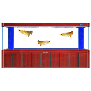 Acuario Rectangular Moderno de Vidrio Ecológico de 3M, 600L/650L, 1.2m X 1.5m, con Mueble Inferior y Filtro para Sala de Estar, para Peces Dragón - Product Image 5