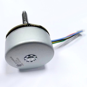 มอเตอร์ไร้แปรงถ่าน Chuanghuada BL4825 12V มอเตอร์ไฟฟ้าขนาดเล็กสำหรับเครื่องนวด เครื่องสลายไขมันหน้าท้อง - Product Image 1