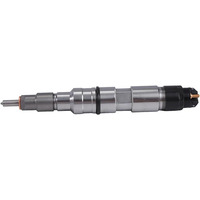 0445120296 Inyector de Combustible Diésel para Motor Diésel, Inyector Common Rail