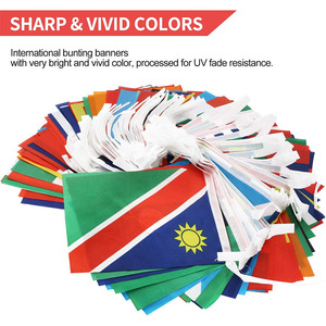 Offres Spéciales Côte d'Ivoire Côte d'Ivoire 10 Mètres 30 pièces Drapeau à cordes Bunting 8.8 ''X 5'' d'Ivoirien pour décoration nationale - Product Image 6