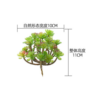 CallaFloral Plante succulente artificielle miniature pour décoration de mariage, artisanat, plastique vert, décoration intérieure et extérieure, 24 cactus fourchus - Product Image 4