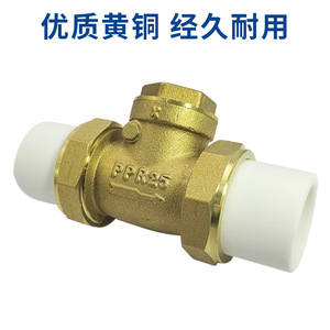 Clapet anti-retour en laiton Mori River PPR32 4/6 pouces DN20/25 pour tuyau d'eau horizontal, structure à une seule palette - Product Image 3