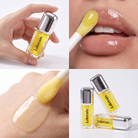 Ibcccndc Gloss à lèvres repulpant éclatant et hydratant, à l'extrait de Capsicum Annuum, Centella Asiatica et Acide Hyaluronique, Vente en gros et Personnalisation