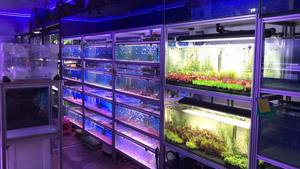 タンクラック用カスタム工業用アルミニウム押出プロファイルフレームシステム - Product Image 5