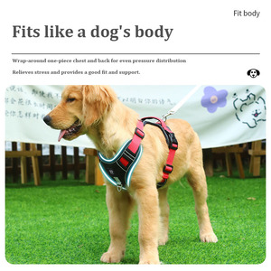 Conjunto de arnés de perro personalizado, collar de Mascota de diseñador y Correa, arnés de cuerpo de perro personalizado, fabricantes de correa de collar de perro - Product Image 5