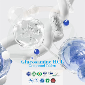 Cápsulas de Glucosamina HCL y Condroitina Sulfato con MSM para el Confort Articular - Suplemento de Salud de Hierbas Chinas en Stock - Product Image 4