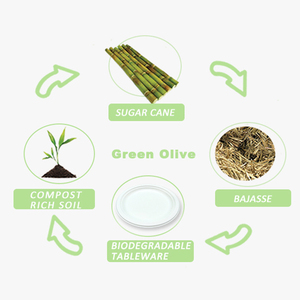 Màu Xanh Lá Cây Ô Liu Bán Buôn Ủ Bột Giấy Đảng Giấy Tấm 100% Phân Hủy Sinh Học Dùng Một Lần Mía Bã Mía Bộ Đồ Ăn - Product Image 3