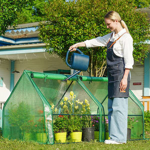 <span class=keywords><strong>Mini</strong></span>-<span class=keywords><strong>serre</strong></span> en métal de gros pour l'extérieur, imperméable et résistante aux UV, pour la culture de fleurs succulentes, légumes et plantes d'intérieur - Product Image 3