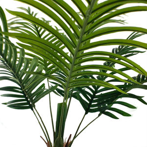 ขายส่งต้นปาชิรามาโครคาร์ปาเทียม, ขายต้นบอนไซเทียม, ต้นเงินพลาสติก - Product Image 2