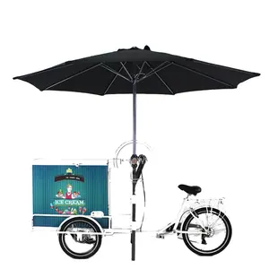 2024 New Style Commercial Pedal Ice Cream Bike Three Wheels Electric Tricycle with Freezer for Selling Popsicle