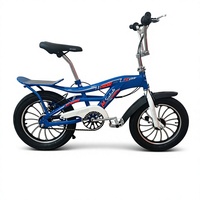 Vélo de montagne pour enfants de 16 pouces, cadre en acier et aluminium, vitesse unique, coloré, pour filles et garçons