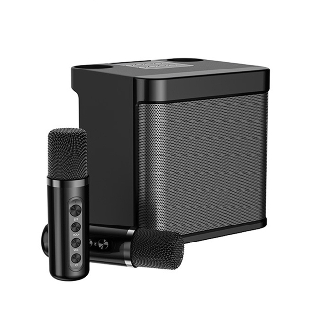 YS-203 BT Home Mini Portable Karaoke Speaker Wireless Microphone(Black)